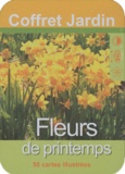  NGV - Fleurs de printemps - 50 cartes illustrées.