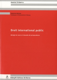 Samantha Besson - Droit international public - Abrégés de cours et résumés de jurisprudence.