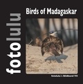  fotolulu - Birds of Madagaskar - fotolulus Bildband VII.