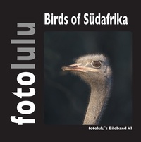  fotolulu - Birds of Südafrika - fotolulus Bildband VI.