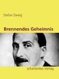 Stefan Zweig - Brennendes Geheimnis.