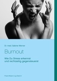 Dr. med. Sabine Werner - Burnout vermeiden - Wie Du kritischen Stress erkennst und rechtzeitig gegensteuerst.