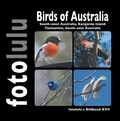  fotolulu - Birds of Australia - South-west Australia, Kangaroo Island Tasmanien, South-east Australia.