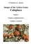 Felix Schumm - Images of the Lichen Genus Caloplaca, Vol 1 - Caloplaca adelphoparasitica, Caloplaca crenularia.