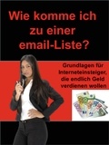 Karin Thomanek - Email Basic - Neu: Wie komme ich zu einer email-Liste - Grundlagen für Interneteinsteiger, die endlich Geld verdienen wollen.