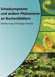 Sandro Jung et Gregor Schmitz - Schadsymptome und andere Phänomene an Buchenblättern.