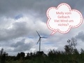 Melly vom Gelbach - Viel Wind um nichts? - Windenergie.