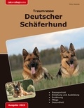 Mirko Velantek - Traumrasse: Deutscher Schäferhund.
