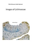 Felix Schumm et André Aptroot - Images of Lichinaceae.