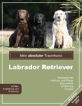 Miriam Valentin - Mein absoluter Traumhund: Labrador Retriever.