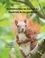 Mario Porten - Eichhörnchen im Garten 4 / Squirrels in my garden 4 - Ein Bildband / Illustrated book.