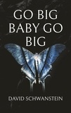 David Schwanstein - Go big baby go big - Wie Sie als Big Player das Spiel des Lebens gewinnen und die Welt retten.