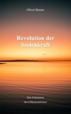 Oliver Berner - Revolution der Seelenkraft - das Geheimnis des Offensichtlichen.