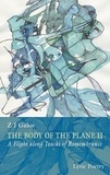 Z J Galos - The body of the plane II - A Flight along Tracks of Remembrance.