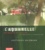 Gottfried Salzmann - L'aquarelle. - Paysages et villes, de l'idée initiale à l'aquarelle pure.