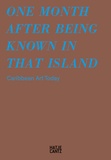 Albertine Kopp - One month after being known in that island : caribbean art today.