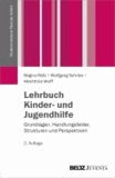 Lehrbuch Kinder- und Jugendhilfe - Grundlagen, Handlungsfelder, Strukturen und Perspektiven.