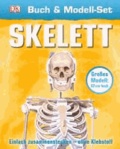 Buch & Modell-Set Skelett - Einfach zusammenstecken - ganz ohne Klebstoff.