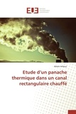 Ahlem Arfaoui - Etude d'un panache thermique dans un canal rectangulaire chauffé.