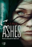 Ashes 04 - Pechschwarzer Mond.