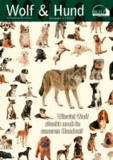 Wolf Magazin: Wolf und Hund (1/2013) - Wieviel Wolf steckt noch in unseren Hunden.