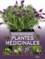 Iris Schmidt - Encyclopédie essentielle des plantes médicinales.