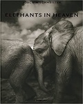 Joachim Schmeisser - Elephants in Heaven.