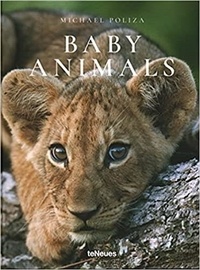 Michael Poliza - Baby animals.