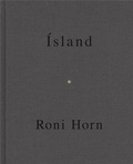 Roni Horn - Island.