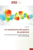 Wei Wei Du - La coalescence des grains de polymère - Un model Numérique et expérimental dans le cas du rotomoulage.