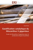 Michel-r - Gazéification catalytique du miscanthus x giganteus.
