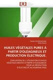 Parfait Tatsidjodoung et Eliott Martin - Huiles végétales pures à partir d'oléagineux et production électrique - Evaluation de l'utilisation d'huiles végétales brutes à partir d'oléagineux pour la production d'électricité au Burkina Faso.