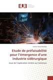 Leonce Ouemba - Etude de prefaisabilite pour l'emergence d'une industrie siderurgique - Issue de l'exploration minière au Cameroun.
