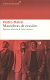 Pedro Mairal - Maniobras de evasion.