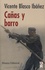 Vicente Blasco Ibañez - Cañas y Barro.