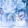 Rasmus Broe - Nastrojowo - Pada deszcz.