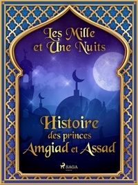 – Les Mille Et Une Nuits et Antoine Galland - Histoire des princes Amgiad et Assad.