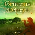  Grimmsbræður et Theódór Árnason - Litli bóndinn.