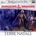 R.A. Salvatore et Julien Dutel - La Trilogie de l'Elfe noir - tome 1 - Terre natale.