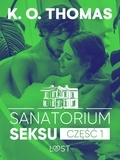 K.O. Thomas - Sanatorium Seksu 1: Igor – seria erotyczna.