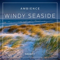 Rasmus Broe - Ambience - Windy seaside.