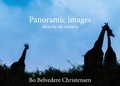 Bo Belvedere Christensen - Panoramic images - directly on camera.
