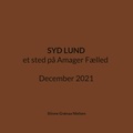Stinne Grønaa Nielsen - Syd Lund - et sted på Amager Fælled December 2021.