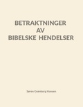 Søren Grønborg Hansen - Betraktninger av bibelske hendelser.