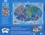 Enrico Lorenzi et Giulia Pesavento - Le coffret du méga atlas de la mer - Avec 1 atlas, 40 cartes questions/réponses, 1 puzzle de 500 pièces et 20 silhouettes d'animaux et de phénomènes marins à placer sur le puzzle.