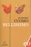 Massimo Guomo - Bellissimo.