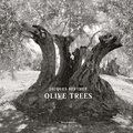 Jacques Berthet - Olive Trees.
