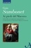 Guia Sambonet - Ai piedi del Maestro - Guida alla contemplazione immaginativa secondo gli Esercizi Spirituali di Ignazio di Loyola.