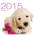  Collectif - Calendrier mural Chiens 2015.