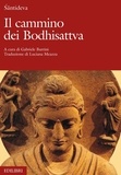 Gabriele Burrini et Luciana Meazza - Il cammino dei Bodhisattva.